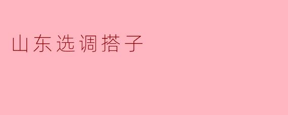 山东选调搭子:助力基层治理的新模式