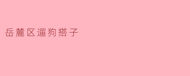 岳麓区遛狗搭子:让遛狗变得更有趣的最佳选择