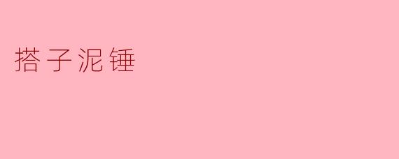 搭子泥锤