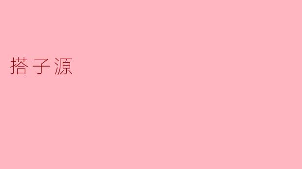 什么是“搭子源”?****