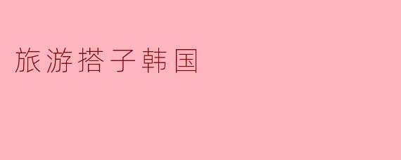 旅游搭子韩国