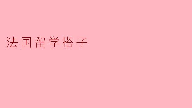 法国留学搭子