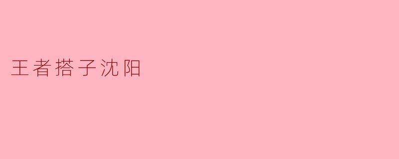王者搭子沈阳