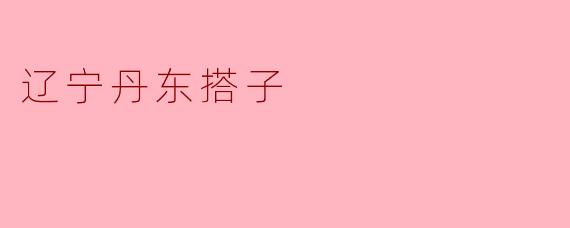 辽宁丹东搭子