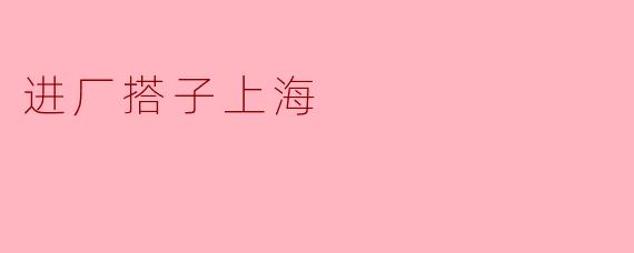 进厂搭子上海