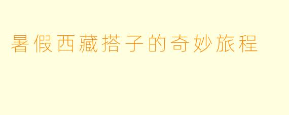 暑假西藏搭子的奇妙旅程