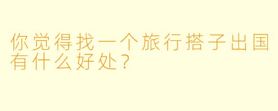 你觉得找一个旅行搭子出国有什么好处?