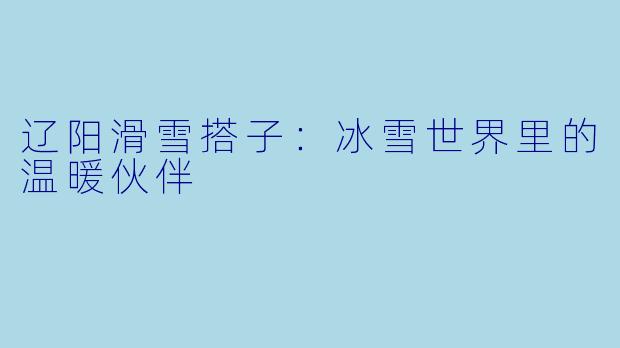 辽阳滑雪搭子：冰雪世界里的温暖伙伴