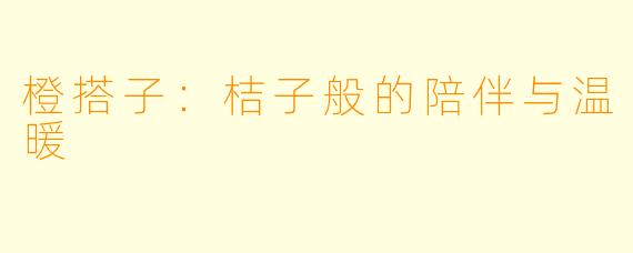 橙搭子：桔子般的陪伴与温暖