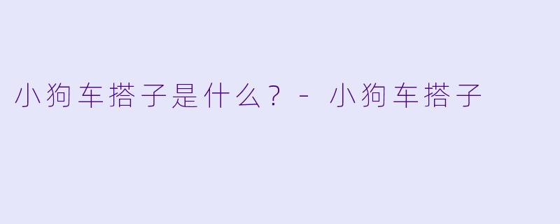 小狗车搭子是什么？