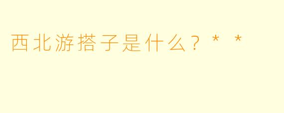 西北游搭子是什么？**