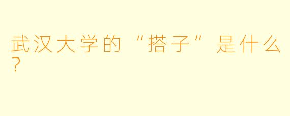 武汉大学的“搭子”是什么?
