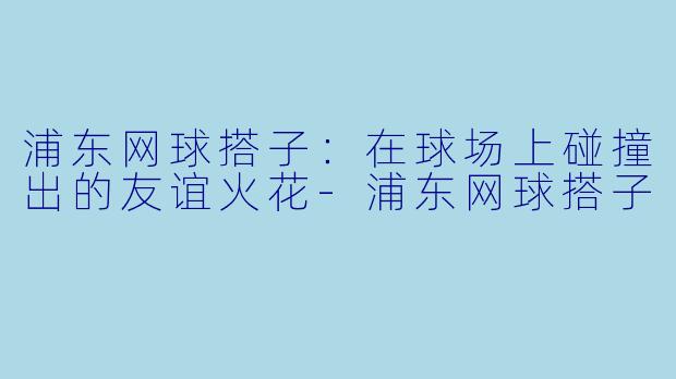 浦东网球搭子：在球场上碰撞出的友谊火花-浦东网球搭子