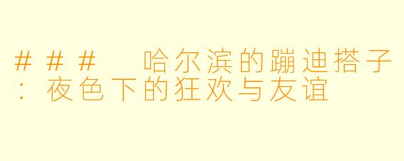 ### 哈尔滨的蹦迪搭子：夜色下的狂欢与友谊