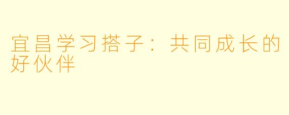 宜昌学习搭子:共同成长的好伙伴