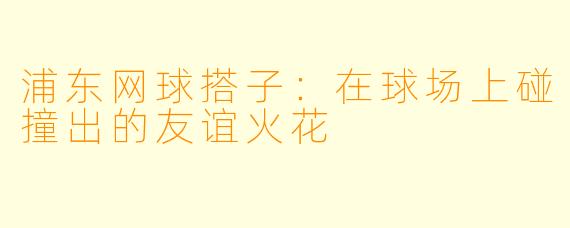 浦东网球搭子：在球场上碰撞出的友谊火花