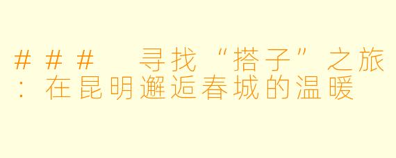 ### 寻找“搭子”之旅:在昆明邂逅春城的温暖