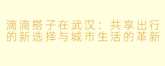 滴滴搭子在武汉:共享出行的新选择与城市生活的革新