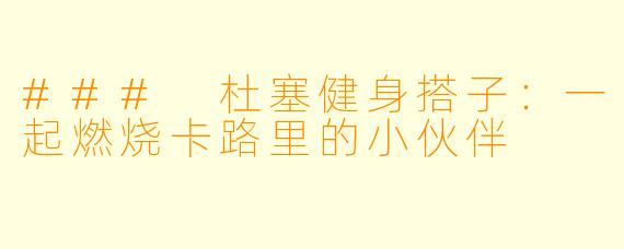### 杜塞健身搭子：一起燃烧卡路里的小伙伴