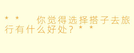 ** 你觉得选择搭子去旅行有什么好处？**