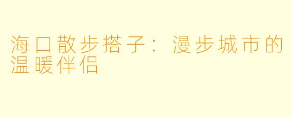 海口散步搭子：漫步城市的温暖伴侣