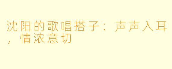 沈阳的歌唱搭子：声声入耳，情浓意切