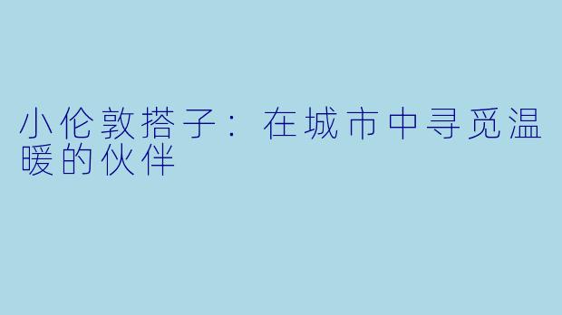 小伦敦搭子：在城市中寻觅温暖的伙伴