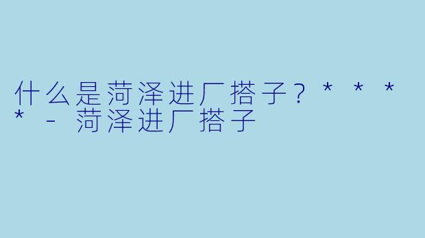 什么是菏泽进厂搭子?****