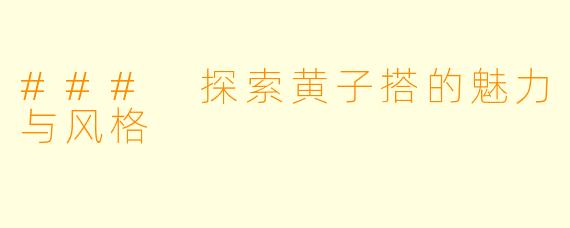 ### 探索黄子搭的魅力与风格