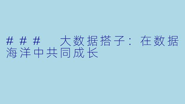 ### 大数据搭子：在数据海洋中共同成长