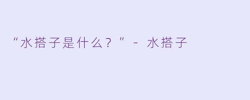 “水搭子是什么？”