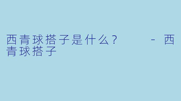 西青球搭子是什么？  