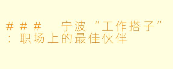 ### 宁波“工作搭子”：职场上的最佳伙伴