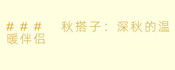 ### 秋搭子：深秋的温暖伴侣