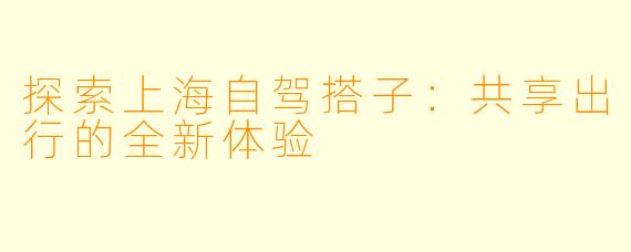 探索上海自驾搭子：共享出行的全新体验