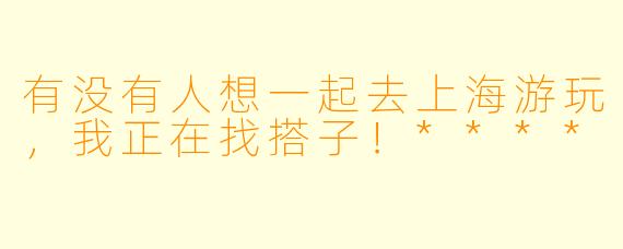 有没有人想一起去上海游玩，我正在找搭子！****