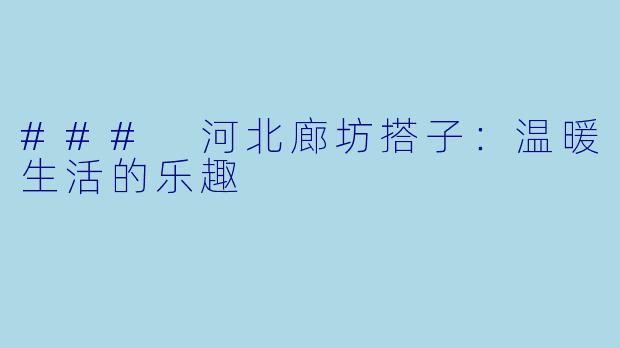 ### 河北廊坊搭子：温暖生活的乐趣