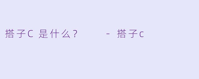 搭子C是什么？  
