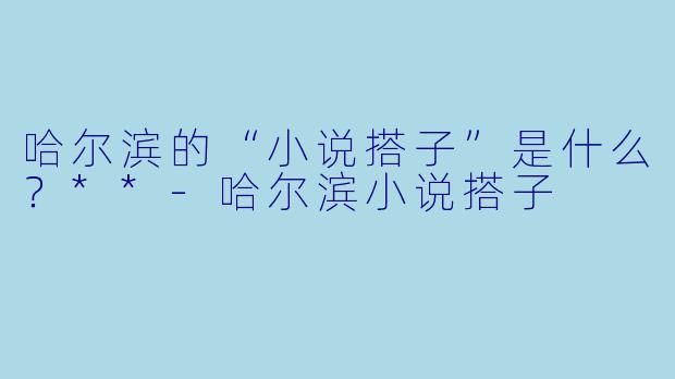 哈尔滨的“小说搭子”是什么?**