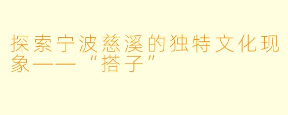 探索宁波慈溪的独特文化现象——“搭子”