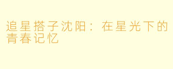 追星搭子沈阳：在星光下的青春记忆