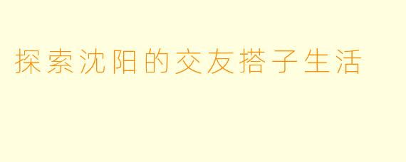 探索沈阳的交友搭子生活