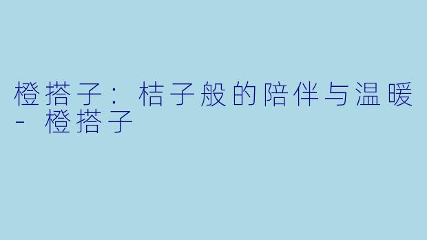 橙搭子：桔子般的陪伴与温暖-橙搭子