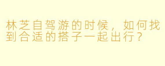林芝自驾游的时候,如何找到合适的搭子一起出行?