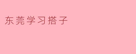 探索“东莞学习搭子”:共同成长的新模式