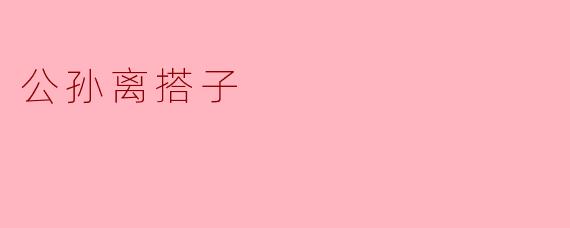 ### 公孙离搭子:团结与力量的象征