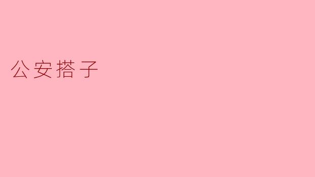 搭建和谐社区的“公安搭子”模式