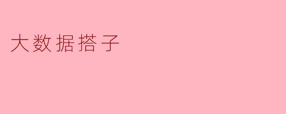 ### 大数据搭子:在数据海洋中共同成长