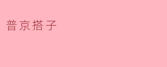 普京搭子