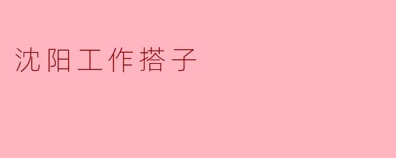 沈阳工作搭子